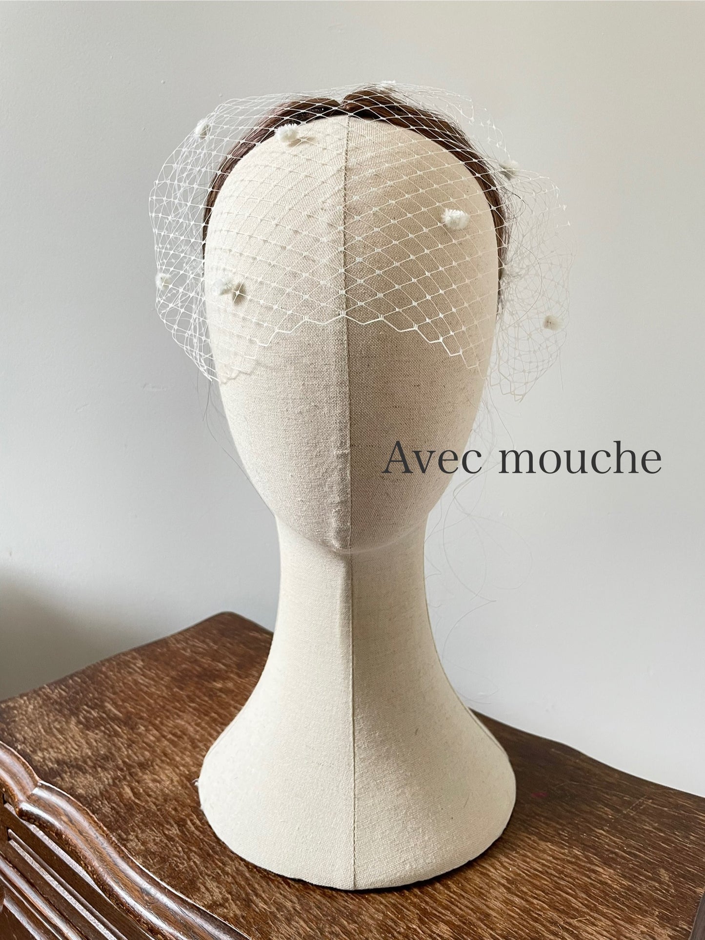 Voile de cage à oiseau / À mouches